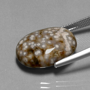 Jaspe multicolorido natural 13,68ct, corte oval, opaco