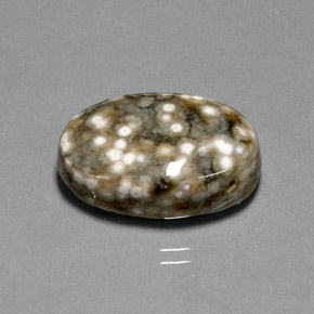 Jaspe multicolorido natural 17,44ct, corte oval, opaco