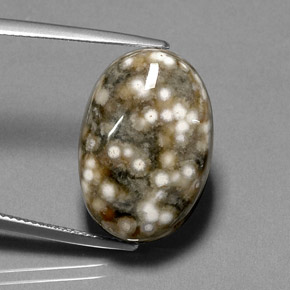 Jaspe multicolorido natural 17,44ct, corte oval, opaco