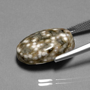 Jaspe multicolorido natural 17,44ct, corte oval, opaco