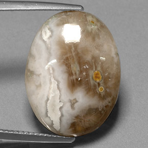 Jaspe multicolorido natural 14,72ct, transparente, transparente/translúcido