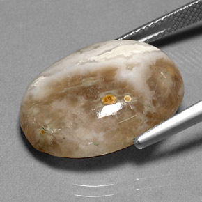 Jaspe multicolorido natural 14,72ct, transparente, transparente/translúcido