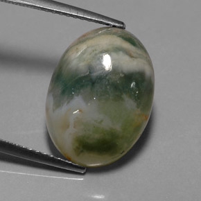 Jaspe multicolorido natural 9,17ct, transparente, transparente/translúcido