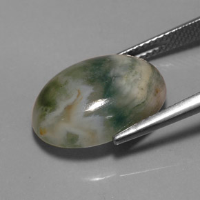 Jaspe multicolorido natural 9,17ct, transparente, transparente/translúcido