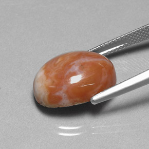 Jaspe Multicolorido Natural 9.66ct, Corte Oval, Opaco