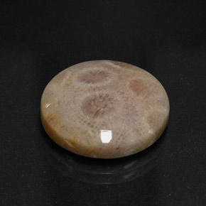 Jaspe multicolorido natural 12,45ct, corte redondo, opaco