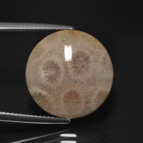Jaspe multicolorido natural 12,45ct, corte redondo, opaco