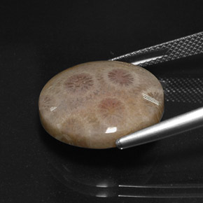 Jaspe multicolorido natural 12,45ct, corte redondo, opaco