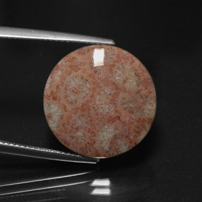 Jaspe multicolorido natural 11,73ct, corte redondo, opaco