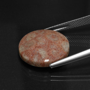 Jaspe multicolorido natural 11,73ct, corte redondo, opaco