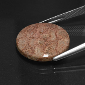 Jaspe multicolorido natural 13,65ct, corte redondo, opaco