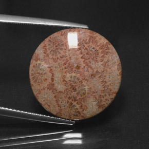 Jaspe multicolorido natural 13,65ct, corte redondo, opaco