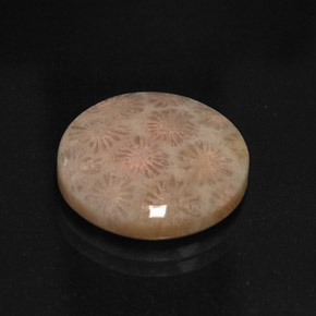 Jaspe multicolorido natural 10,99ct, corte redondo, opaco