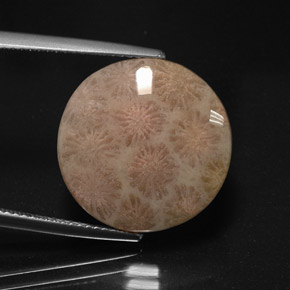 Jaspe multicolorido natural 10,99ct, corte redondo, opaco