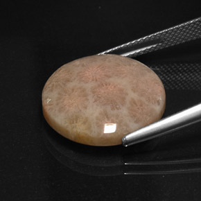 Jaspe multicolorido natural 10,99ct, corte redondo, opaco