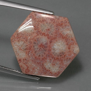 Jaspe multicolorido natural 13,39ct, forma extravagante, opaco