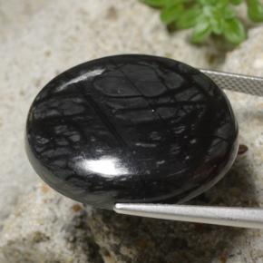 Jaspe preto natural 32,19ct, corte redondo, opaco