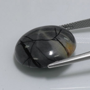 Jaspe multicolorido natural 18,77ct, corte redondo, opaco