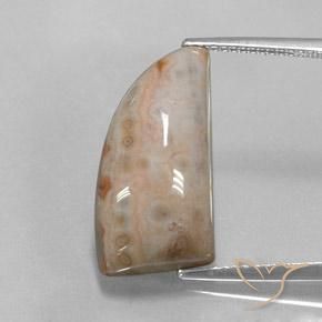 12.74ct Natural Multicolorido Jaspe, Chique, Opaco