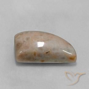 Jaspe Multicolorido Natural 12.74ct, Chique, Opaco