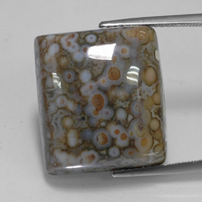 Jaspe multicolorido natural 23,65ct, quadrado, opaco