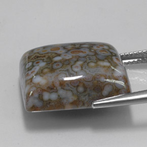Jaspe multicolorido natural 23,65ct, quadrado, opaco