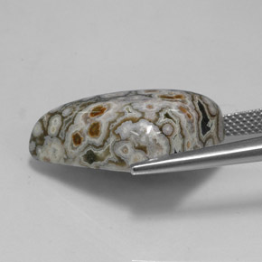Jaspe multicolorido natural 16,27ct, forma extravagante, opaco