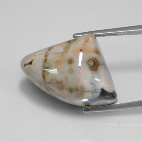 Jaspe multicolorido natural 21,44ct, forma extravagante, opaco