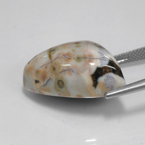 Jaspe multicolorido natural 21,44ct, forma extravagante, opaco