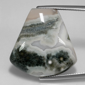Jaspe multicolorido natural 29,53ct, forma extravagante, opaco