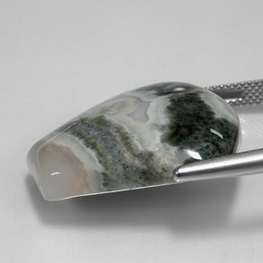 Jaspe multicolorido natural 29,53ct, forma extravagante, opaco