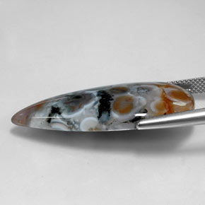 Jaspe multicolorido natural 22,85ct, formato de pêra, translúcido