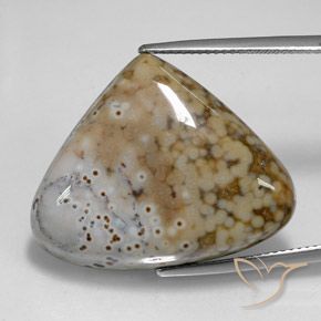 29.24ct Natural Multicolorido Jaspe, Formato de pêra, Opaco