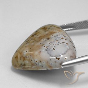 Jaspe Multicolorido Natural 29.24ct, Formato de pêra, Opaco