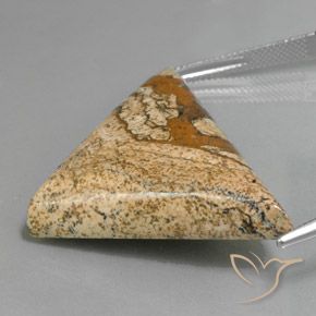 Jaspe Multicolorido Natural 53.88ct, Trilhão, Opaco