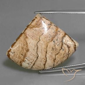 35.80ct Natural Multicolorido Jaspe, Chique, Opaco