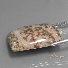 Jaspe Multicolorido Natural 47.73ct, baguete, Opaco