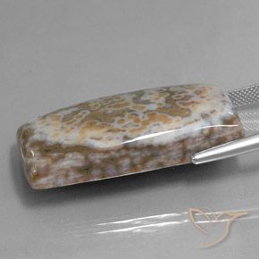 Jaspe Multicolorido Natural 58.74ct, baguete, Opaco
