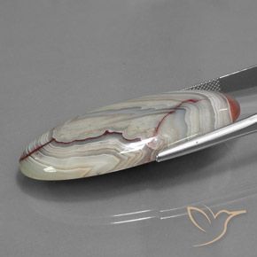 Jaspe Multicolorido Natural 43.89ct, oval, Opaco