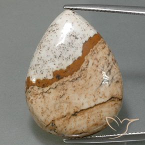 31.10ct Natural Multicolorido Jaspe, Formato de pêra, Opaco