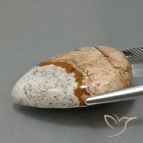 Jaspe Multicolorido Natural 31.10ct, Formato de pêra, Opaco