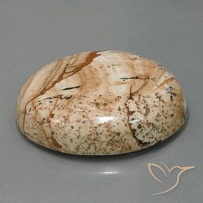 Jaspe Multicolorido Natural 44.54ct, oval, Opaco