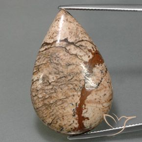 36.58ct Natural Multicolorido Jaspe, Formato de pêra, Opaco