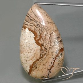 73.69ct Natural Multicolorido Jaspe, Formato de pêra, Opaco