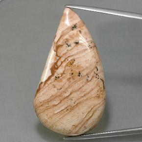 Jaspe multicolorido natural 47,27ct, forma extravagante, opaco