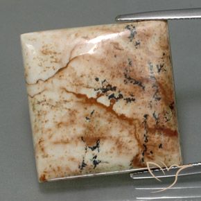 25.13ct Natural Multicolorido Jaspe, Quadrado, Opaco