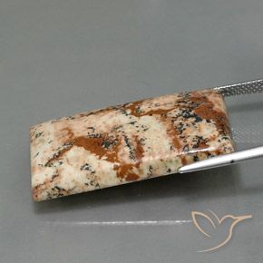Jaspe Multicolorido Natural 26.28ct, baguete, Opaco