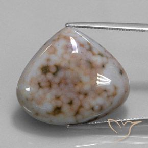 32.82ct Natural Multicolorido Jaspe, Formato de pêra, Opaco