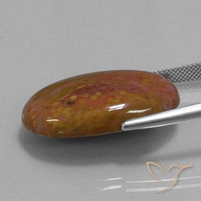Jaspe Multicolorido Natural 27.84ct, oval, Opaco