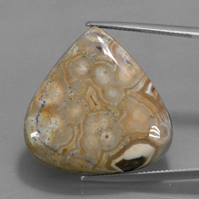 Jaspe Multicolorido Natural 38.48ct, Formato de pêra, Opaco